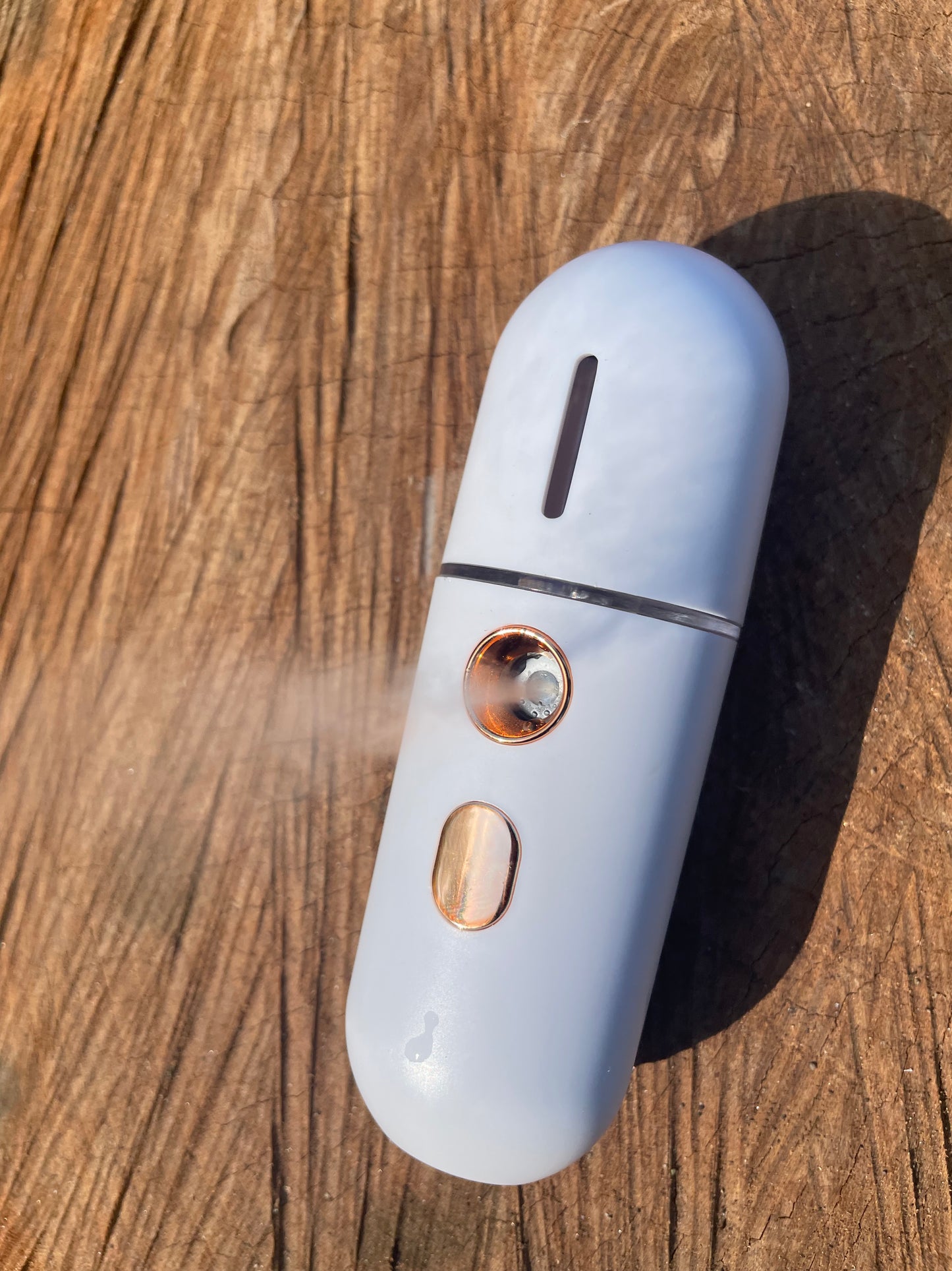 Mini Facial Steamer